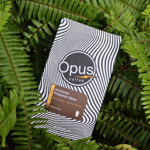 Opus Coffee Honduras Single origin coffee bag sitting inside ferns