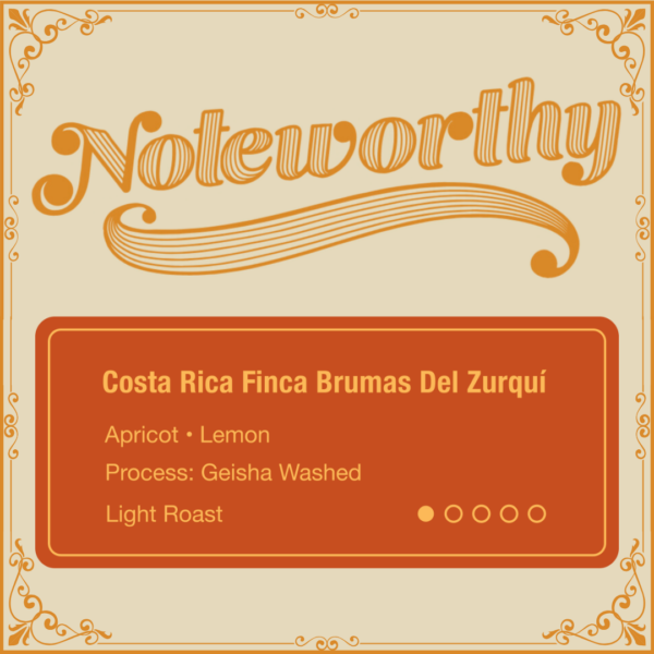 Costa Rica Finca Brumas del Zurqui Noteworthy Coffee image