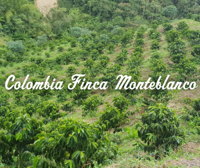 _Colombia Finca Monteblanco Blog Image (1) The Colombia Finca Monteblanco farm is pictured with the name written across it.