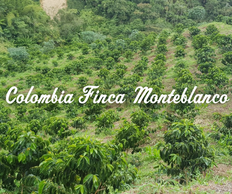 The Colombia Finca Monteblanco farm is pictured with the name written across it.