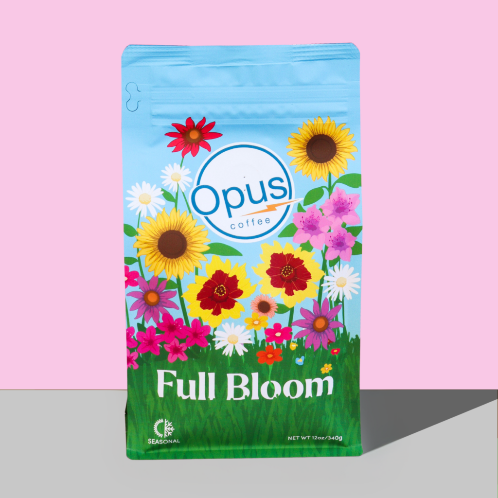 Full Bloom retail bag of coffee beans on a pink background.