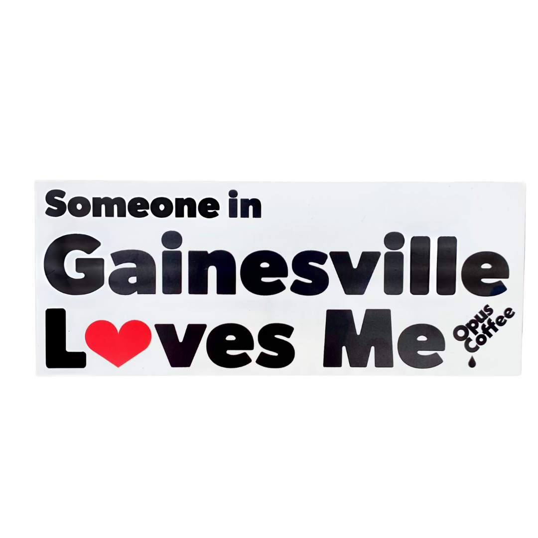 Someone in Gainesville Loves Me Magnet