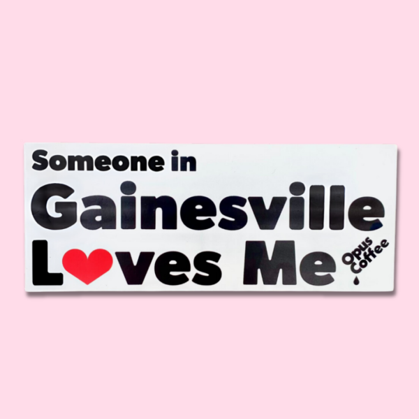 Someone in Gainesville Loves Me Magnet