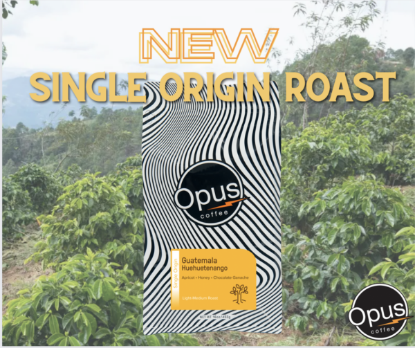 Huehuetenango Header Coffee bag centered with a wavy bag design, black circular "Opus Coffee" label, and yellow label at the bottom of the bag that says "Single Origin: Guatemala Huehuetenango: Apricot, Honey, Chocolate Ganache. Light-Medium Roast." Text at the top of the image reads, "New Single Origin Roast." The image background is a Guatemalan forest landscape with trees and plants in the foreground and mountains in the background.