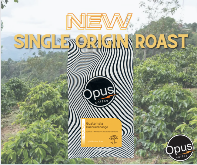 Coffee bag centered with a wavy bag design, black circular "Opus Coffee" label, and yellow label at the bottom of the bag that says "Single Origin: Guatemala Huehuetenango: Apricot, Honey, Chocolate Ganache. Light-Medium Roast." Text at the top of the image reads, "New Single Origin Roast." The image background is a Guatemalan forest landscape with trees and plants in the foreground and mountains in the background.